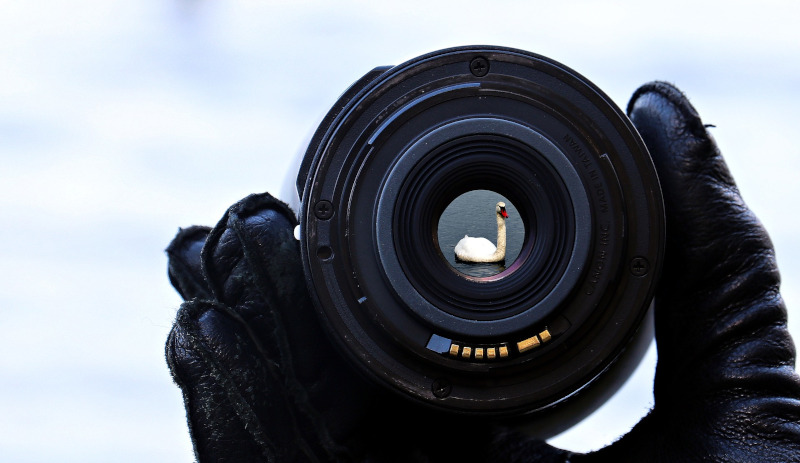 The Camera of Point of View